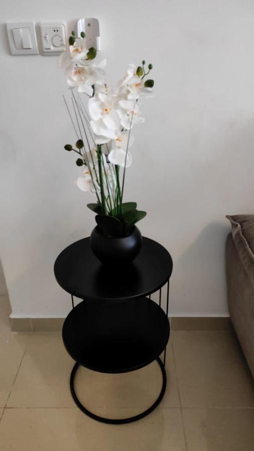 Adriatic Pearl Apartments Kotor Zewnętrze zdjęcie