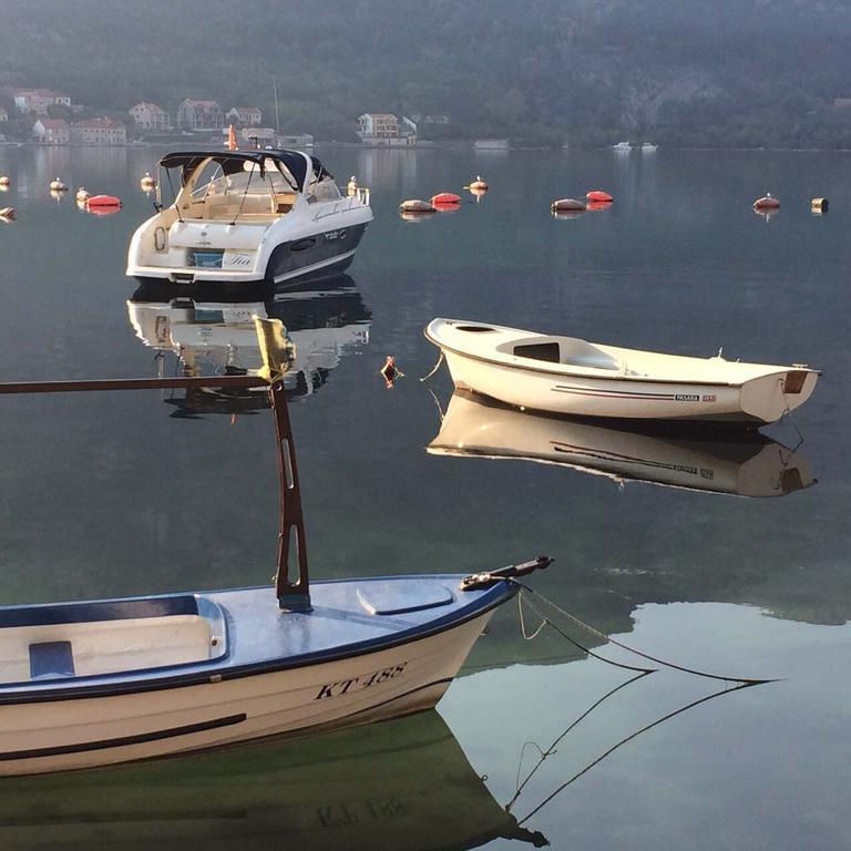 Adriatic Pearl Apartments Kotor Zewnętrze zdjęcie