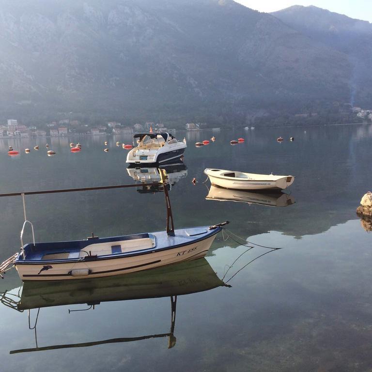 Adriatic Pearl Apartments Kotor Zewnętrze zdjęcie
