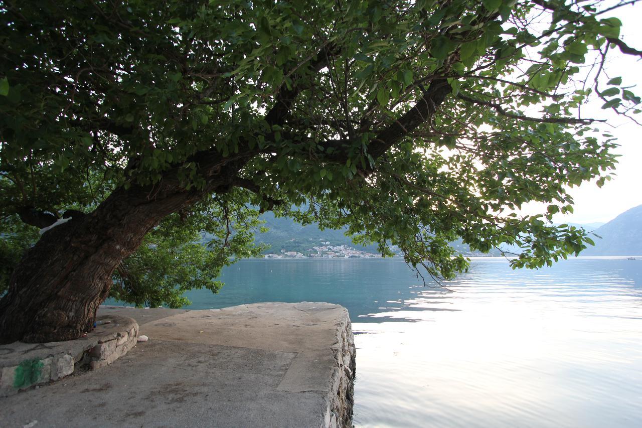 Adriatic Pearl Apartments Kotor Zewnętrze zdjęcie